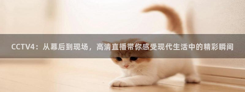 蓝鲸体育ufc直播：CCTV4：从幕后到现场，高清直播带你感受现代生活中的精彩瞬间