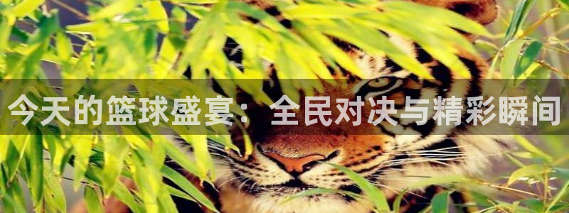 蓝鲸直播改名叫什么了：今天的篮球盛宴：全民对决与精彩瞬间