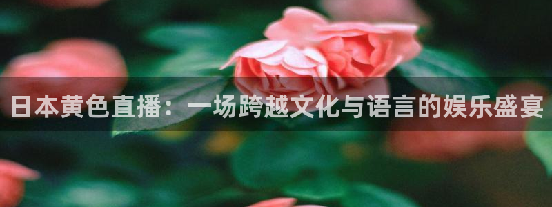 蓝鲸直播下载地址：日本黄色直播：一场跨越文化与语言的娱乐盛宴